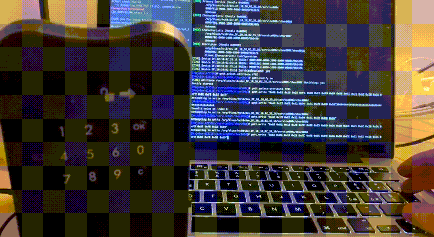 mojobox